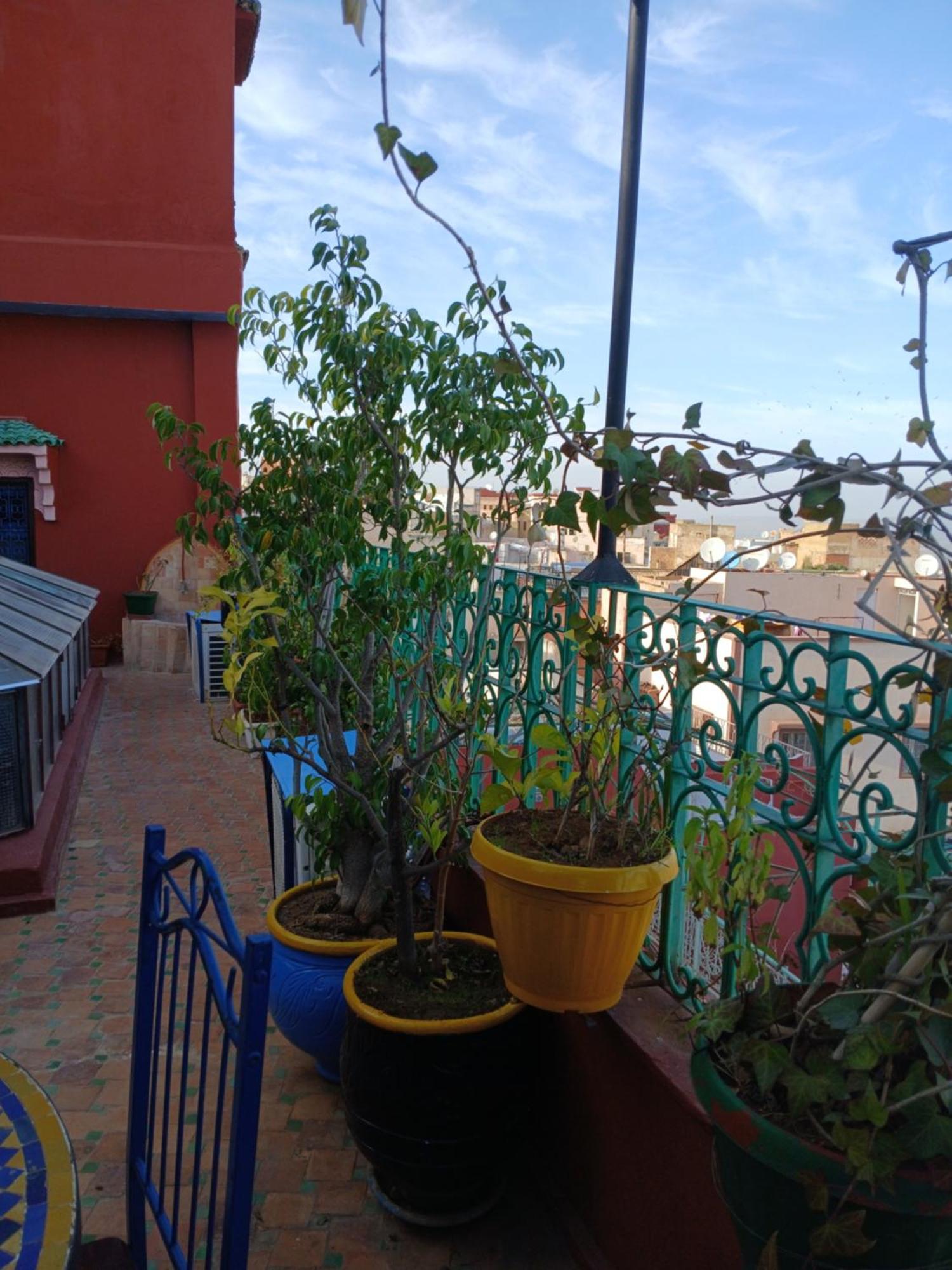 Riad Idrissi Meknès Exteriör bild