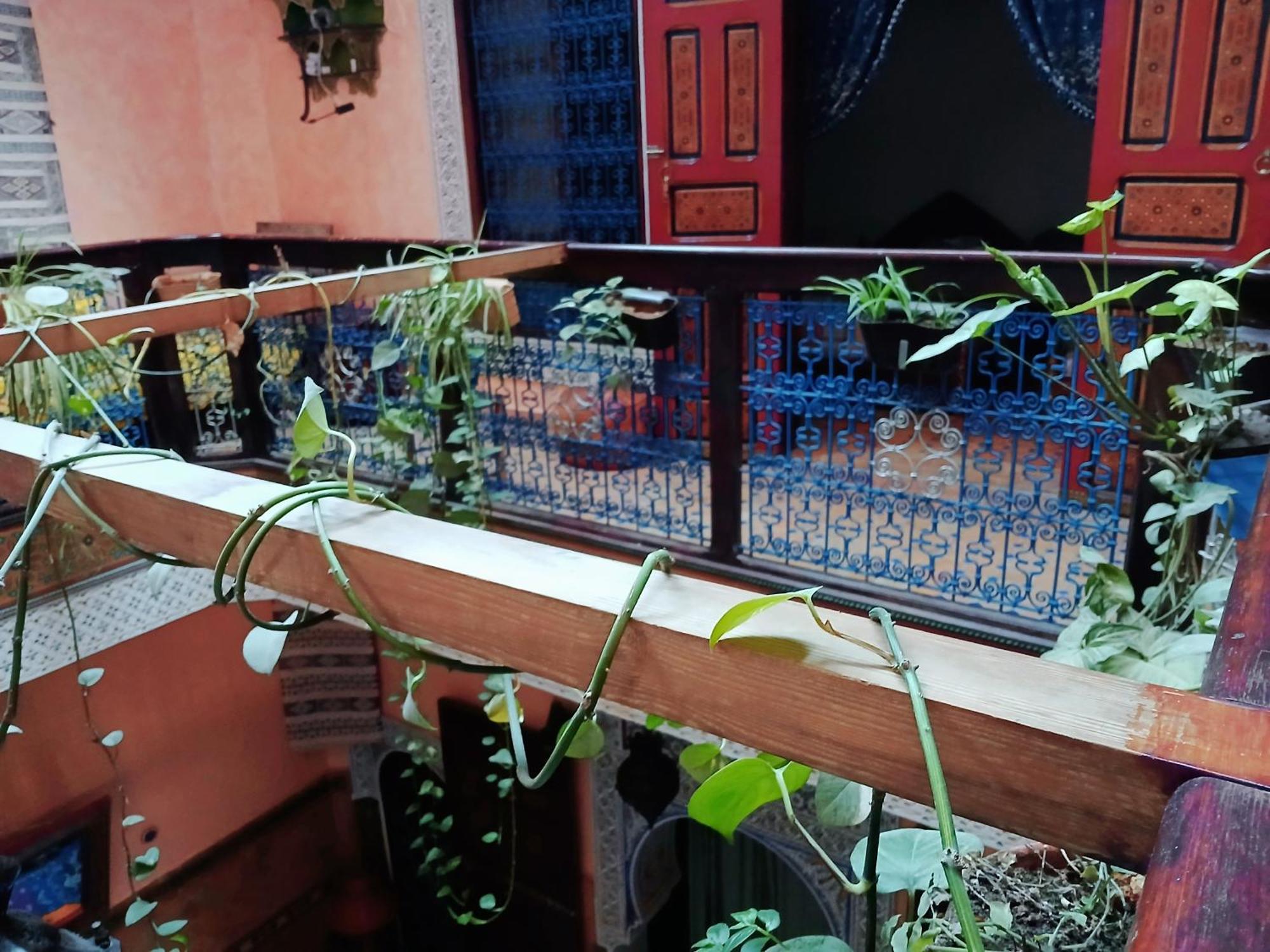 Riad Idrissi Meknès Exteriör bild